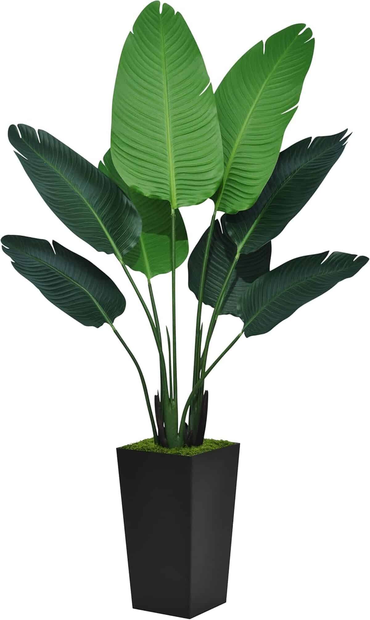 Avis : plante artificielle ASTIDY Monstera Deliciosa 1, 5 m avec pot noir