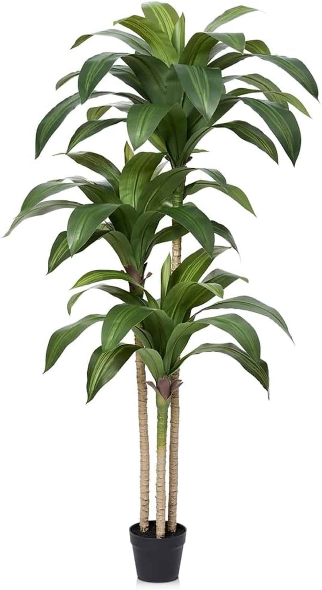Avis sur la plante artificielle Dracaena de VeriNatural : beauté sans entretien