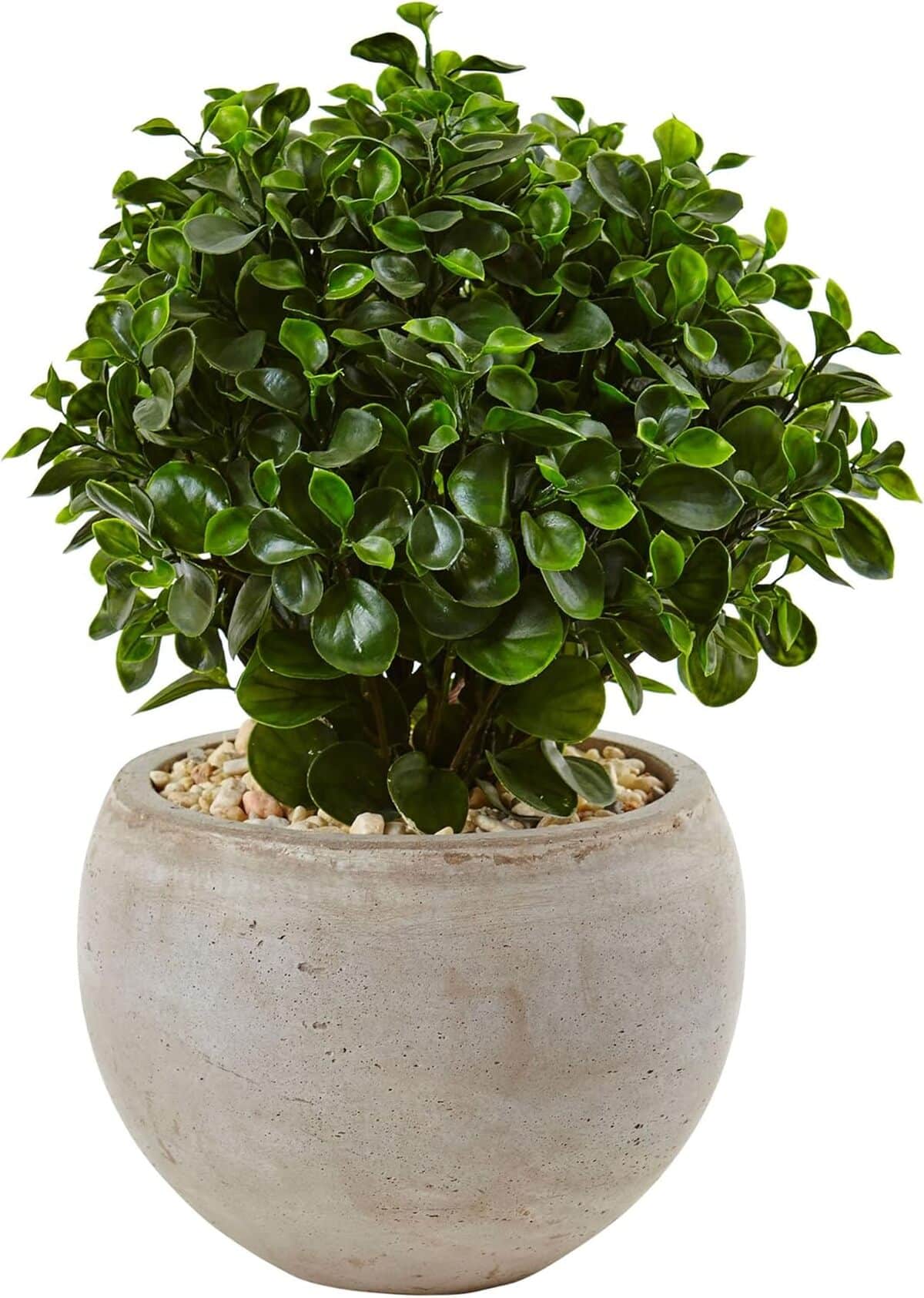 Avis sur la plante Presque Naturel eucalyptus en soie, couleur sable