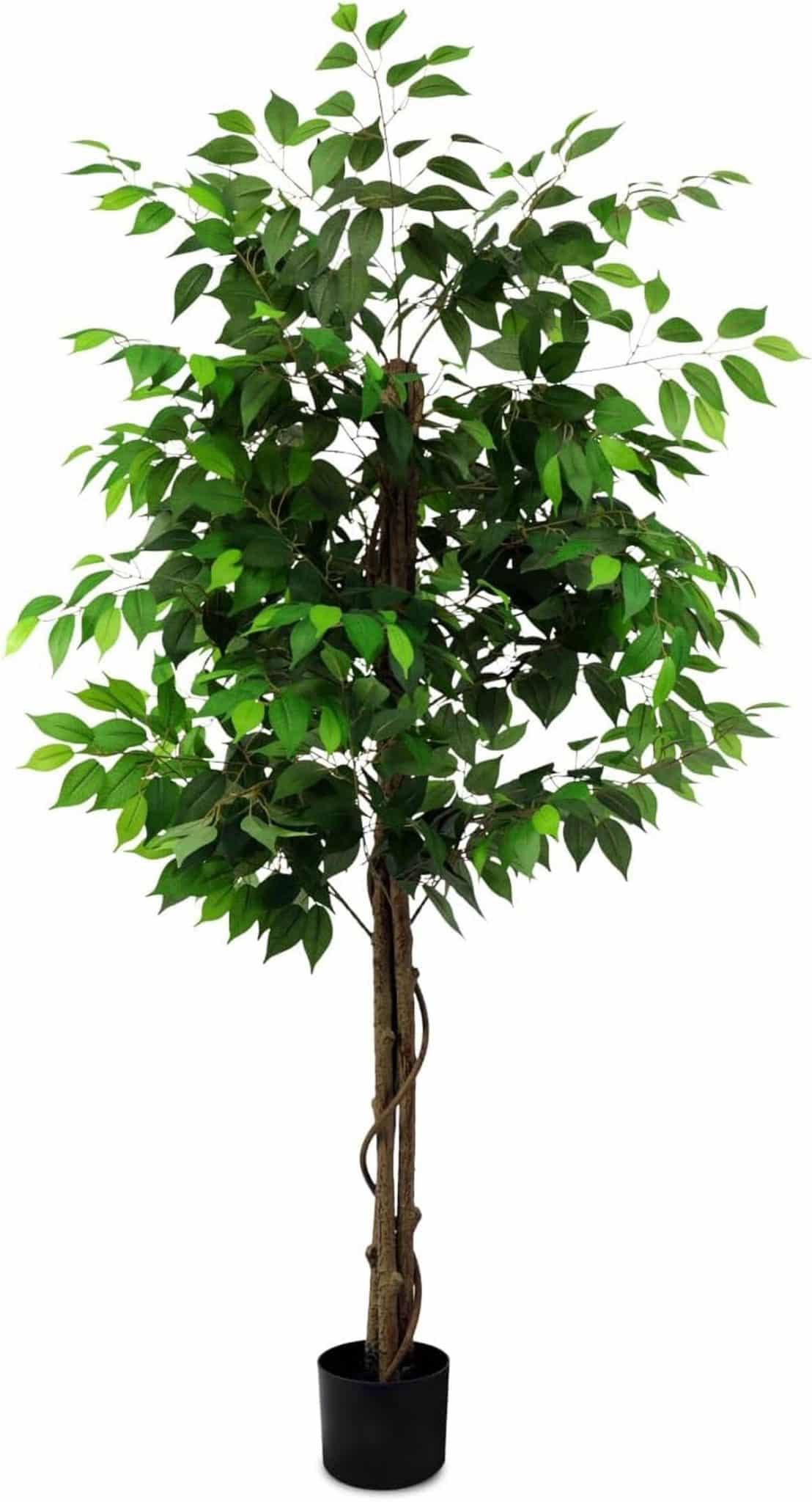 Avis sur le grand ficus artificiel Bynbbur 1, 8 m