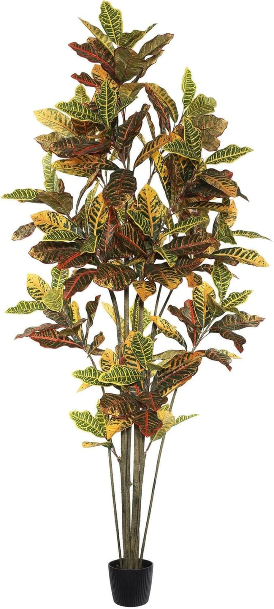 Test de l'arbre croton 2, 10 mètres Vickerman Tb170660