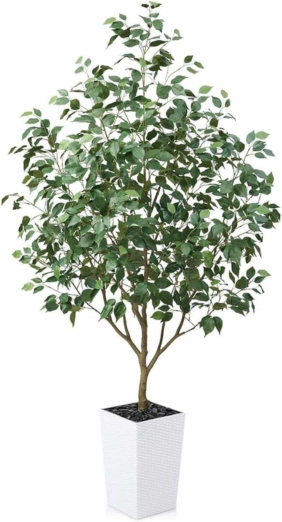 Test du ficus artificiel VeriNatural : 1, 8 m avec pot et galets blancs