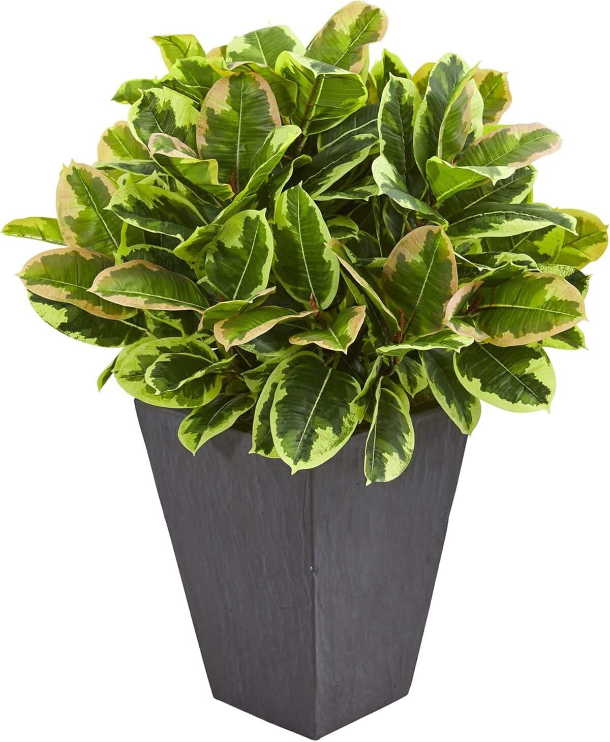 Test du pot de fleurs Presque Naturel en caoutchouc