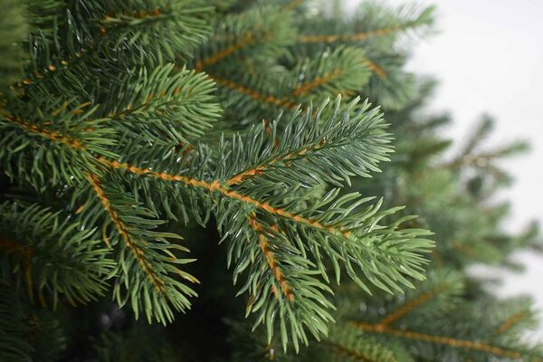 Arbre de Noël Réaliste Feuilles PVC PE Superépais Vert Ouverture Rapide 240 cm - 3953 Branches