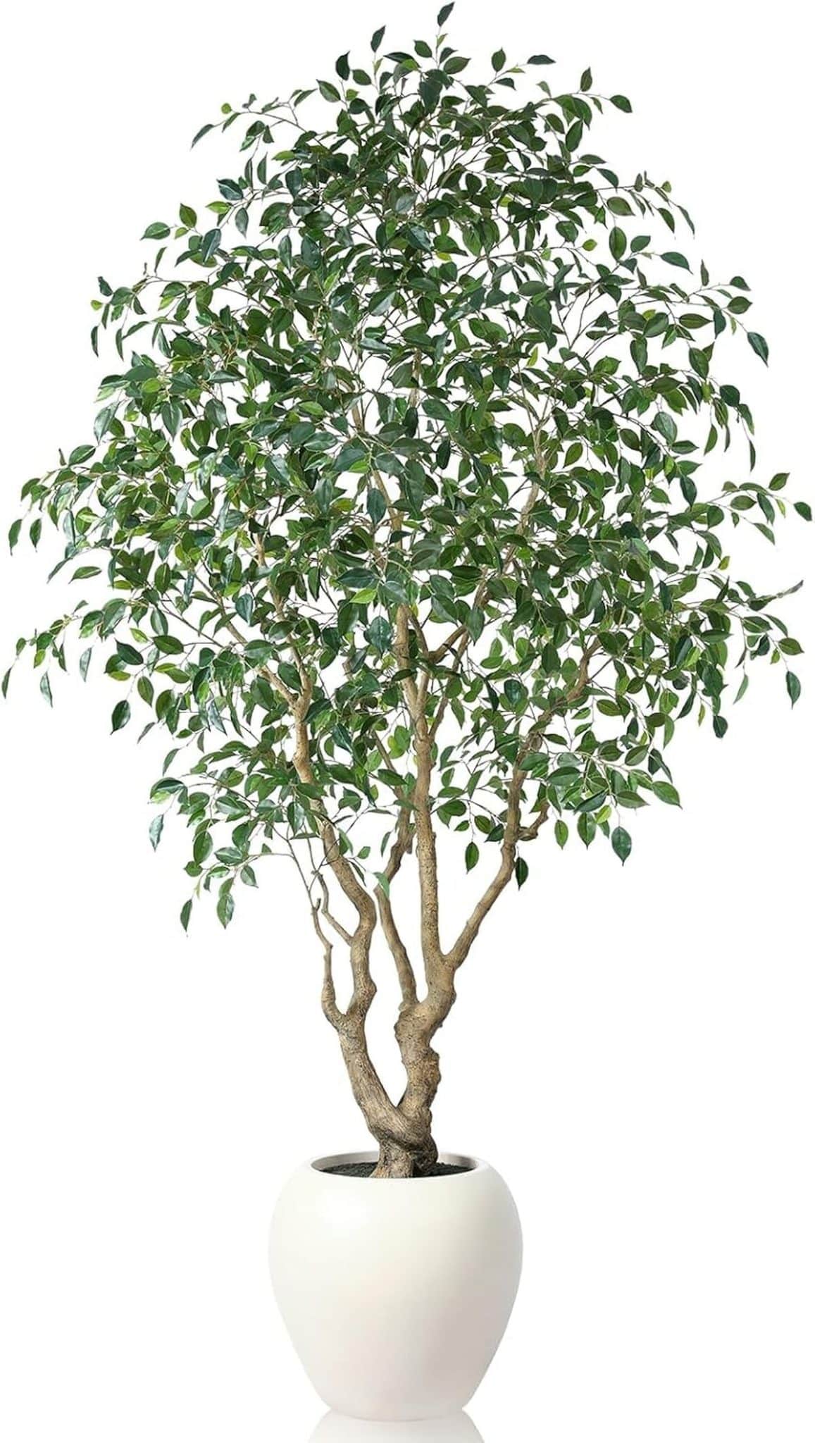 Avis sur l'arbre artificiel Ficus 240 cm SOGUYI : un atout chic pour votre intérieur
