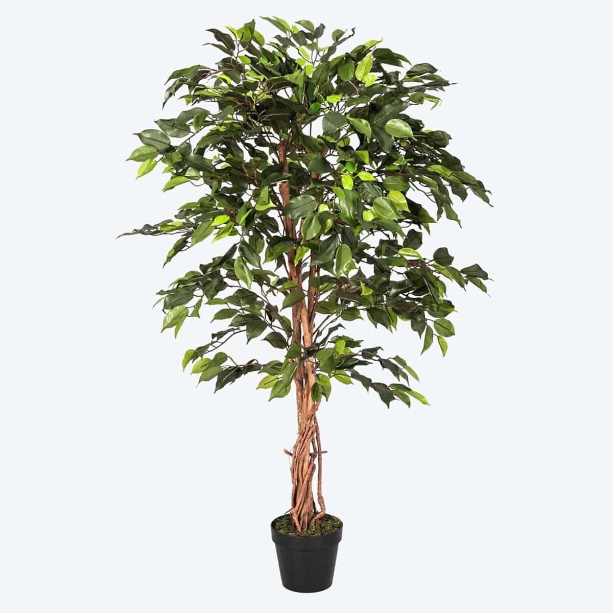 Avis sur le ficus benjamina artificiel 120 cm de homescapes