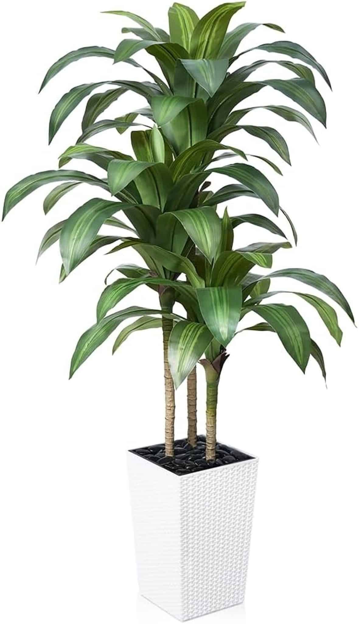 Avis sur VeriNatural VN127 : un dracaena artificiel élégant pour intérieur et extérieur