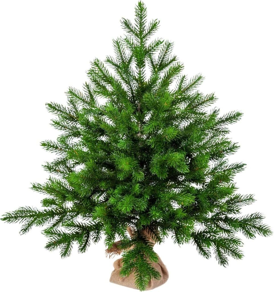 Test du sapin de Noël artificiel EveXmas Altair 215 cm : éclairage et branches 100 % moulées