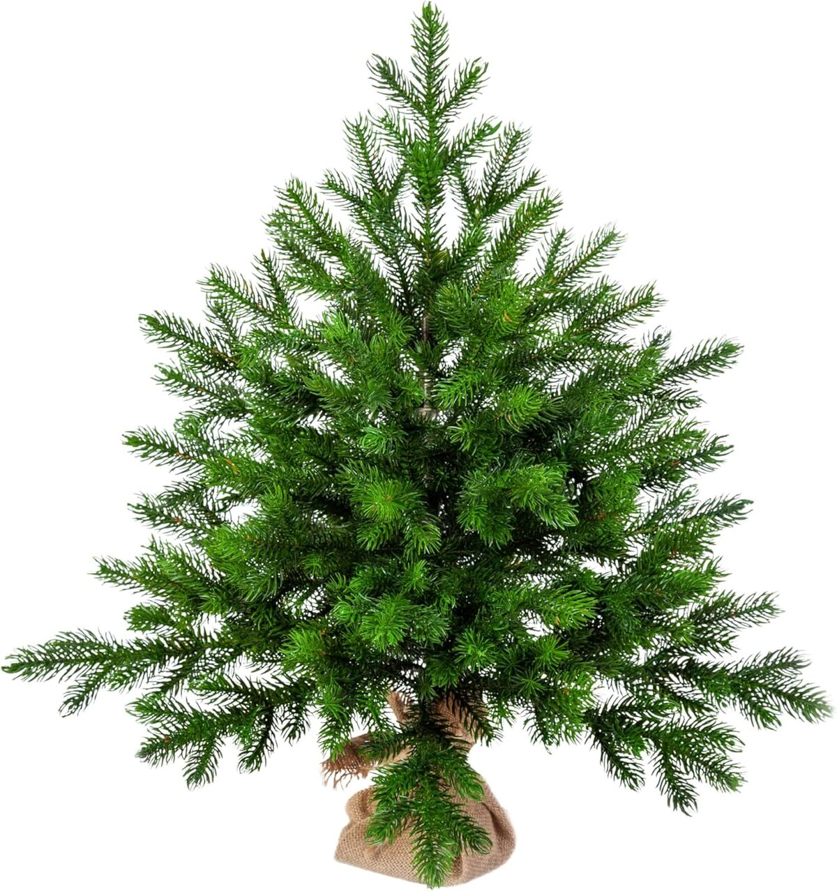 Test du sapin de Noël artificiel EveXmas Altair 215 cm : éclairage et branches 100 % moulées