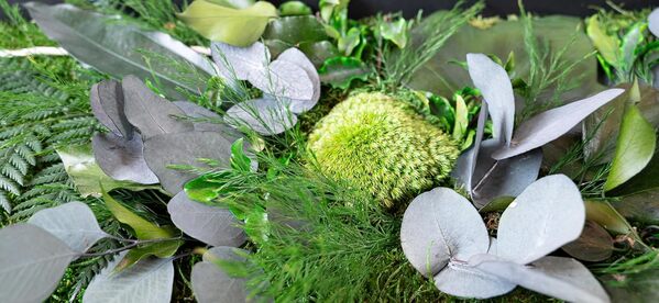 Générique Tableau Végétal Stabilisé Tulum XL 100 x 33 cm – Décoration Murale Naturelle | Plantes Stabilisées Sans Entretien | Fabriqué en France