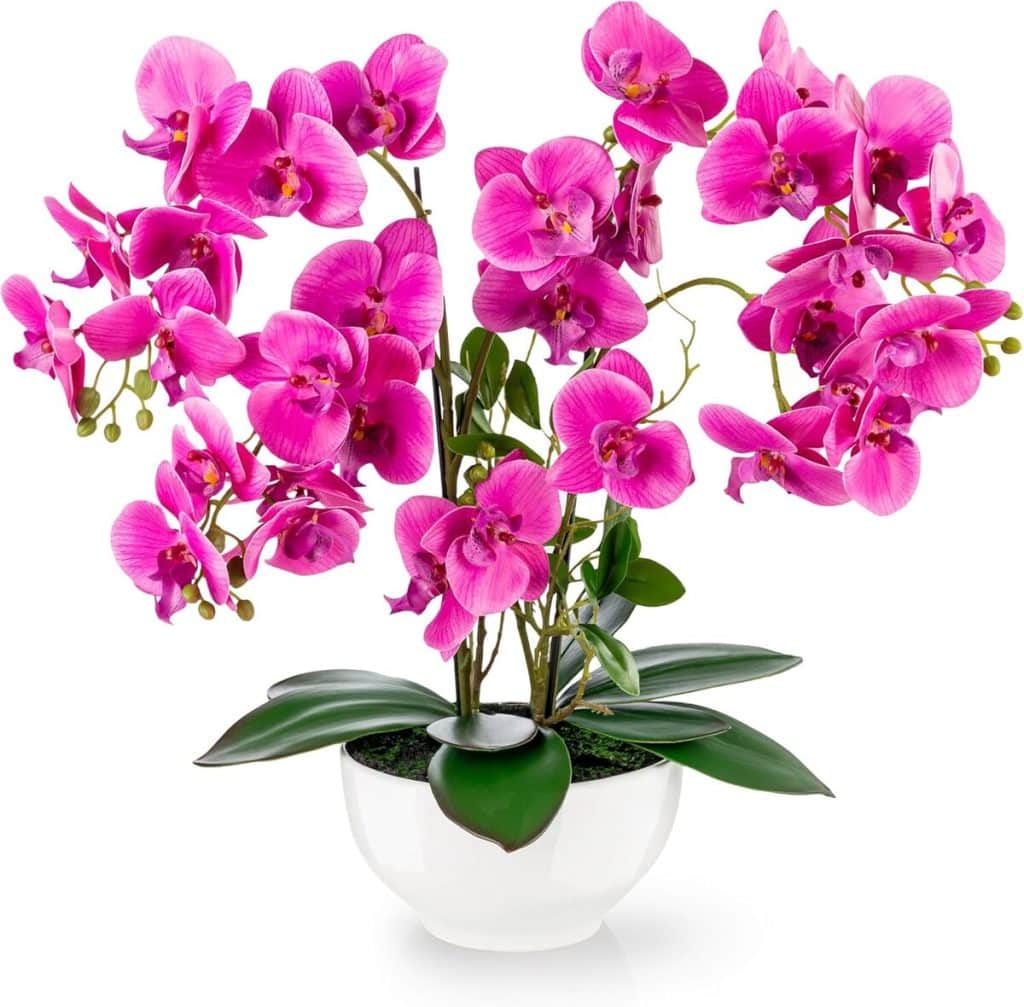 Avis : orchidée artificielle XXL Pasch en pot céramique