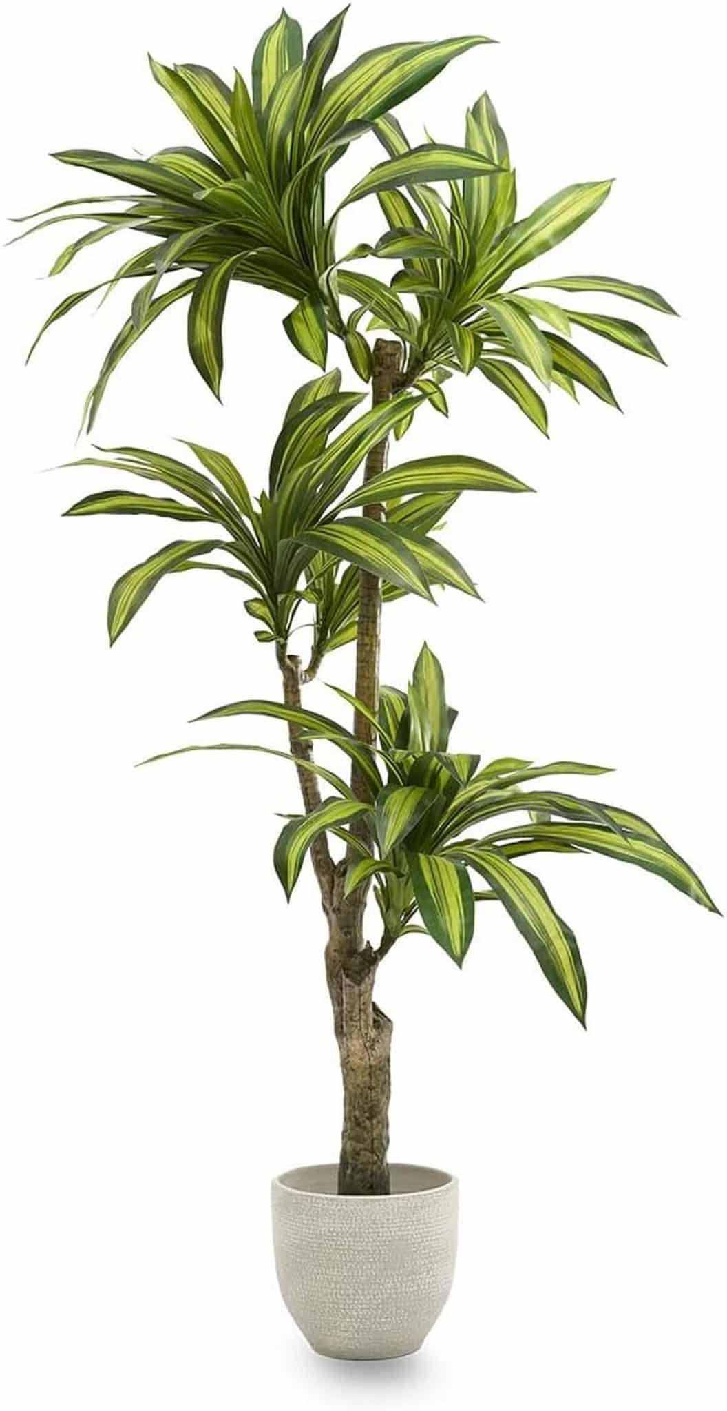 Avis sur la dracaena artificielle 180 cm de Maia Shop : une touche tropicale réaliste