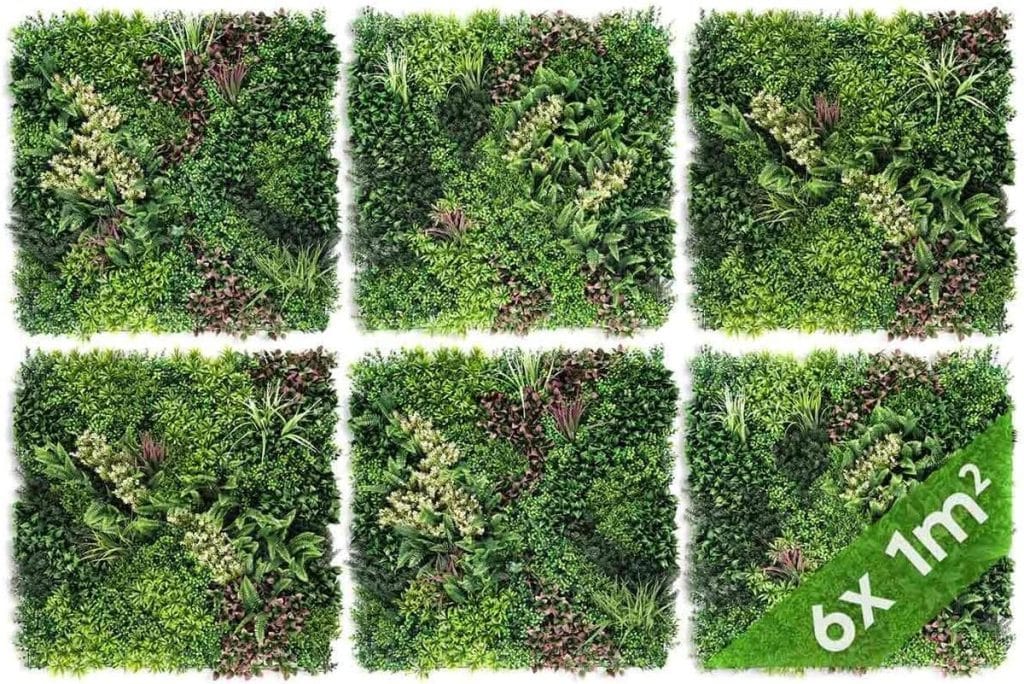 Avis sur le mur végétal Jelle & Jacob : ambiance jungle urbaine assurée