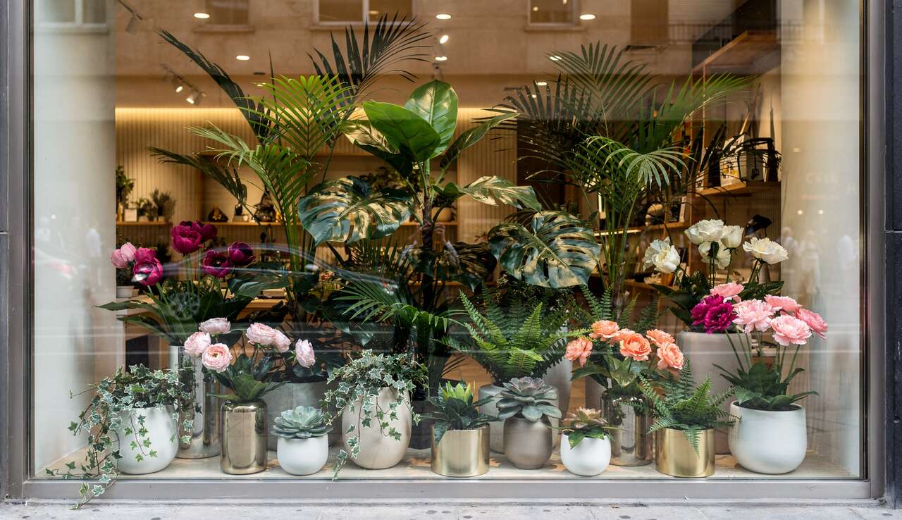 Id&eacute;es cr&eacute;atives pour int&eacute;grer des plantes artificielles
