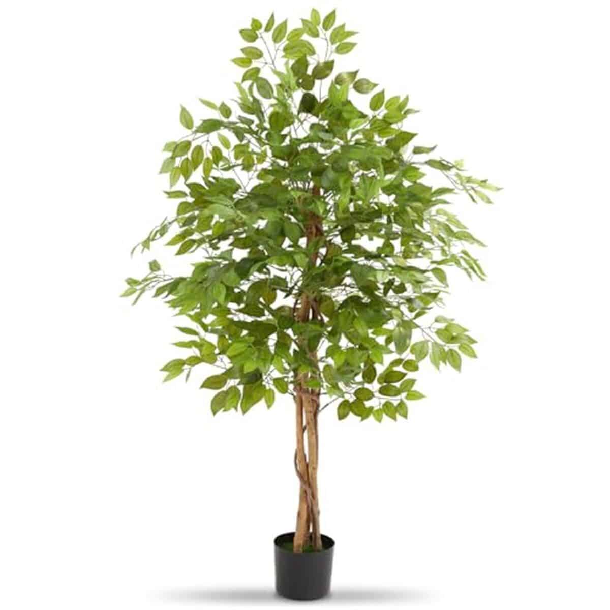 Avis sur le ficus artificiel 160 cm de TecTake pour votre intérieur