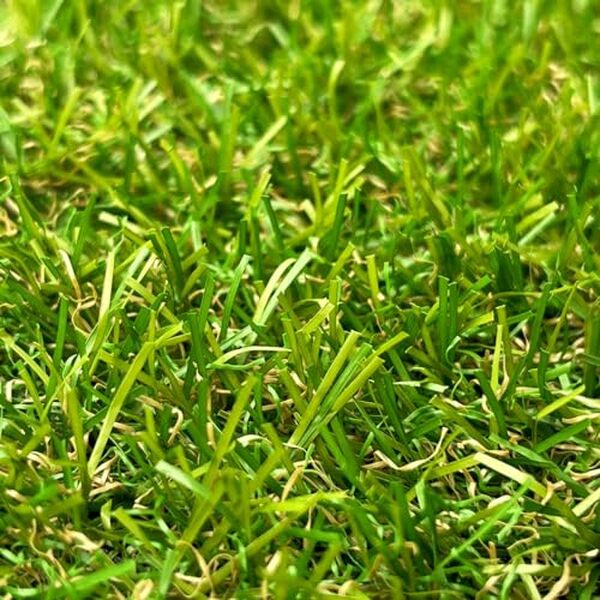 Découvrez notre test complet du gazon synthétique de 20mm pour 6m² d'ultra réalisme. L'alliance parfaite entre esthétique et économie pour votre jardin.