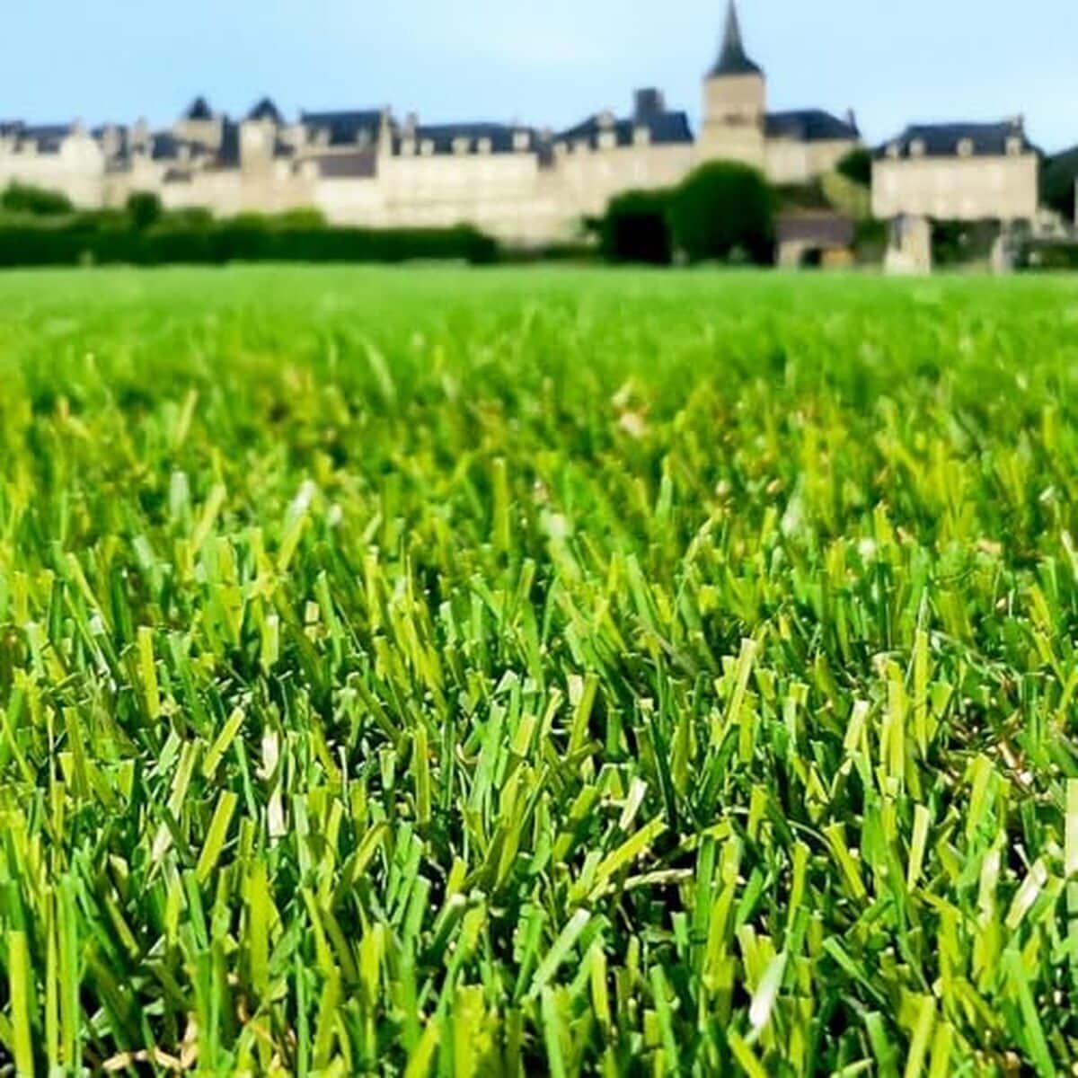 Test gazon synthétique 35mm : dense et résistant