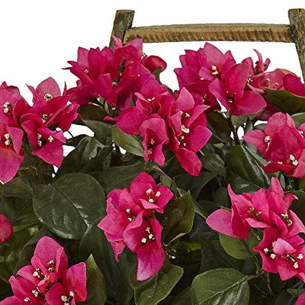Explorez notre revue détaillée sur les bougainvilliers en pot à floraison rose qui imitent presque parfaitement la nature. Découvrez des conseils pour réussir leur culture et embellir votre jardin.