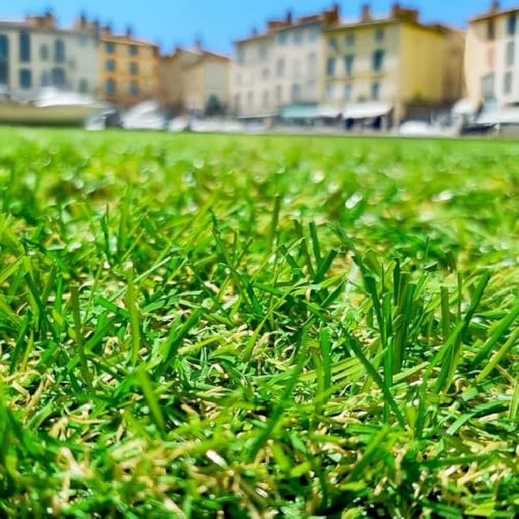Test du gazon synthétique 22mm : le choix idéal pour votre jardin