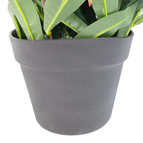 Découvrez notre analyse détaillée du ficus artificiel rouge et vert de 80 cm avec pot noir : un choix design pour sublimer votre intérieur sans entretien