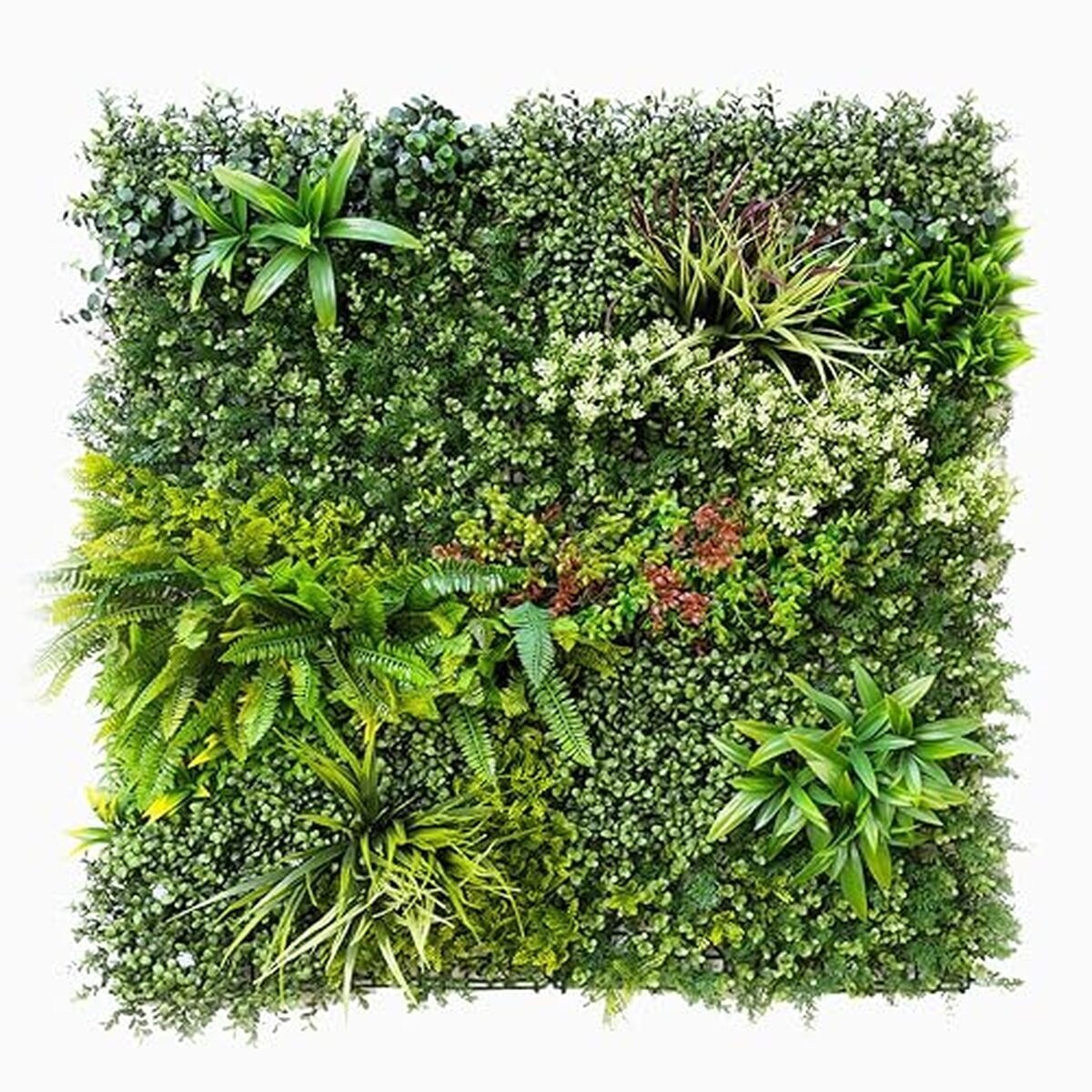 Avis sur le lot de 5 murs artificiels Synthaietik modèle Prairie coloré fleuri multicolore