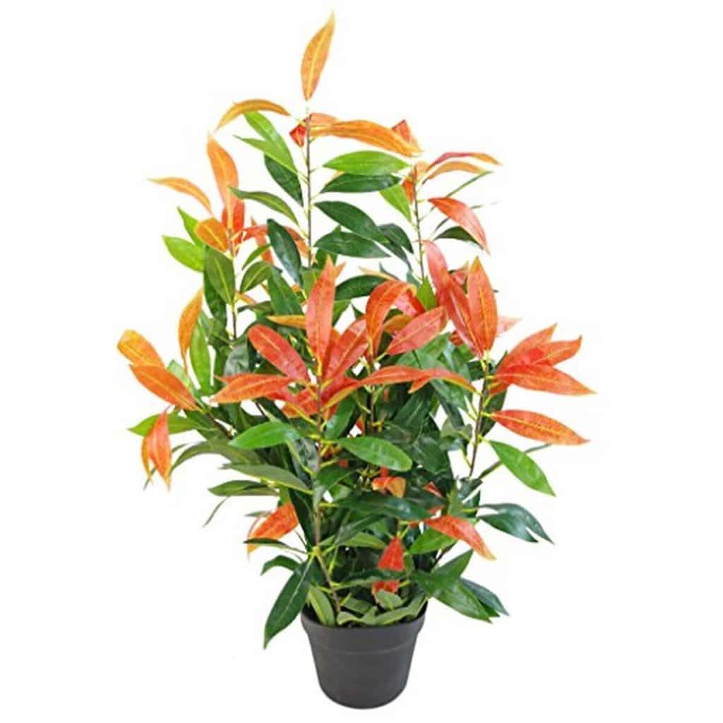 Critique : ficus artificiel rouge et vert 80 cm avec pot noir