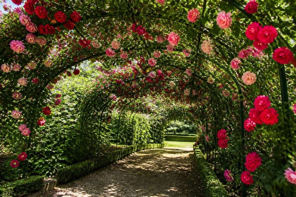 Palissade De Rosier Artificiel : décoration Extérieure Facile