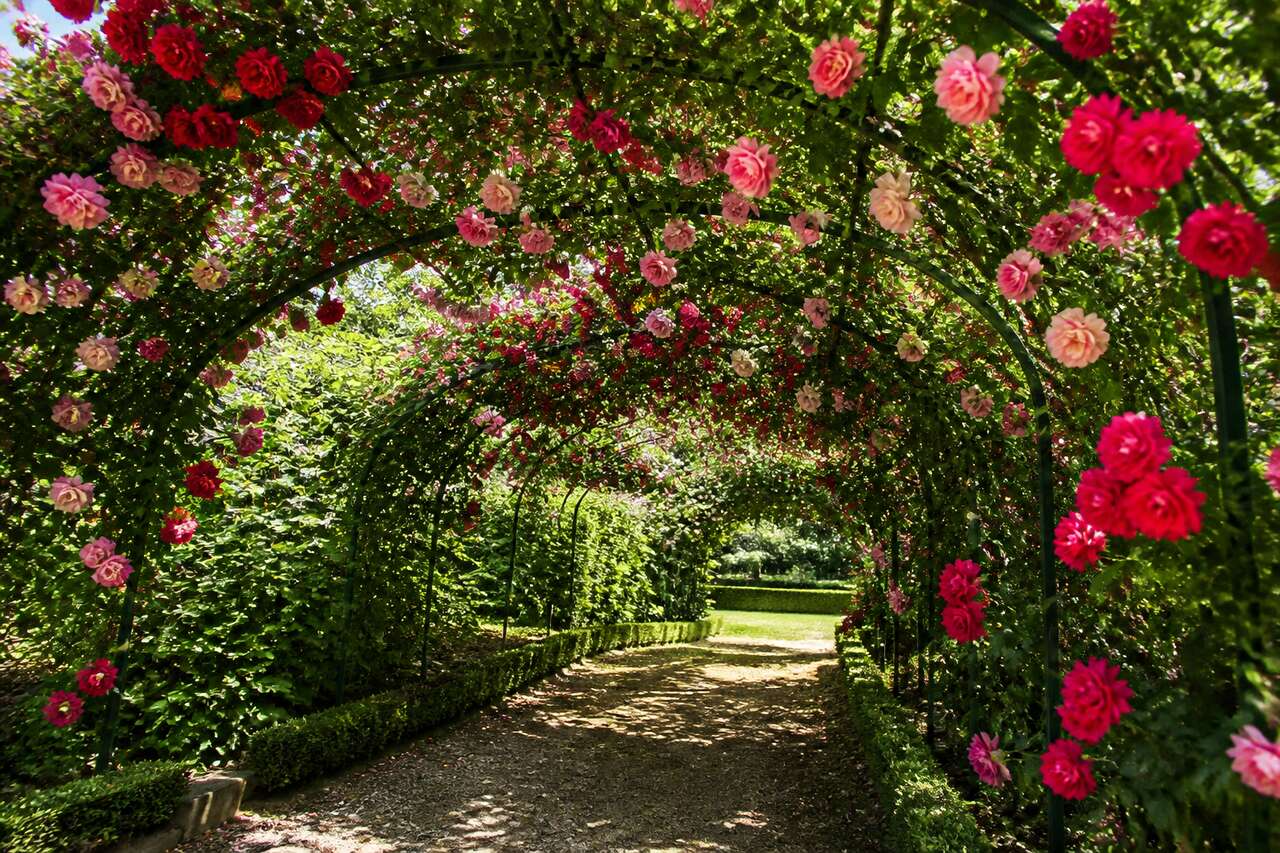 Palissade De Rosier Artificiel : décoration Extérieure Facile