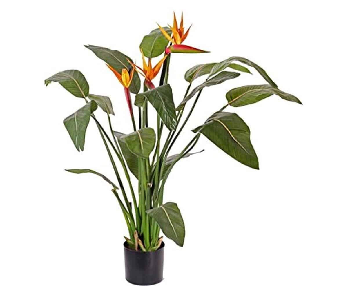 Avis sur les fleurs artificielles Stre litzia de kunsb lumens : élégance durable
