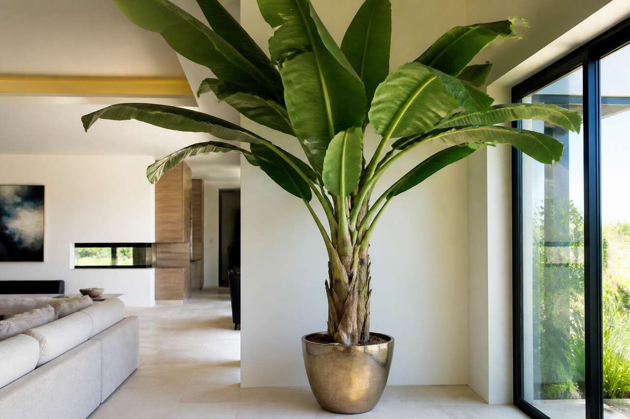 Bananier artificiel géant : décoration tropicale intérieure