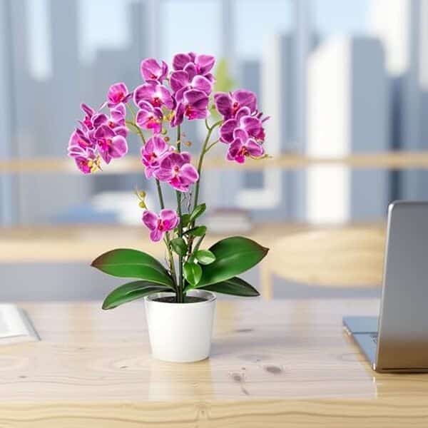 Découvrez notre avis complet sur les orchidées artificielles PASCH de 46 cm en pots céramique : qualité, esthétique et durabilité pour votre décoration intérieure.