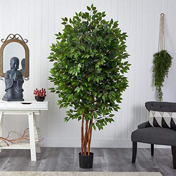 Découvrez notre test détaillé du ficus artificiel deluxe Nearly Natural 5402 : qualité, réalisme et durabilité analysés pour vous aider à bien choisir.