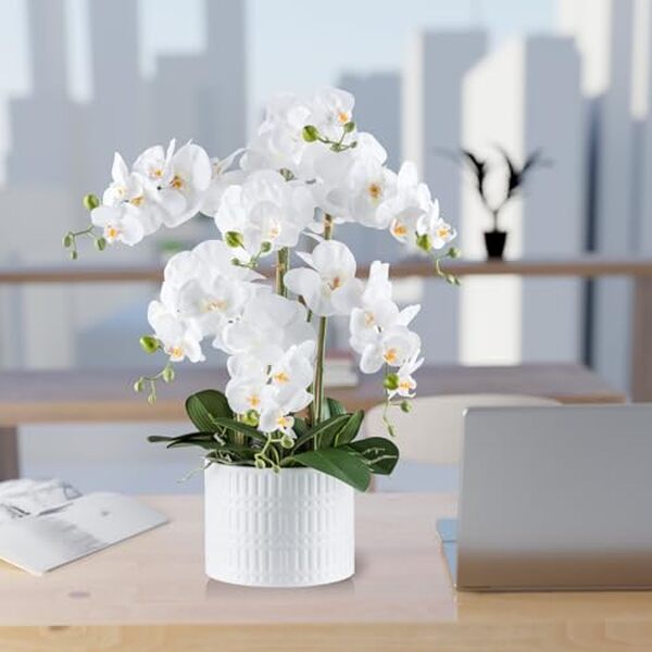 Découvrez notre avis complet sur l'orchidée artificielle XXL PASCH® 60 cm en pot céramique blanche : qualité, réalisme et avantages pour votre décoration. 