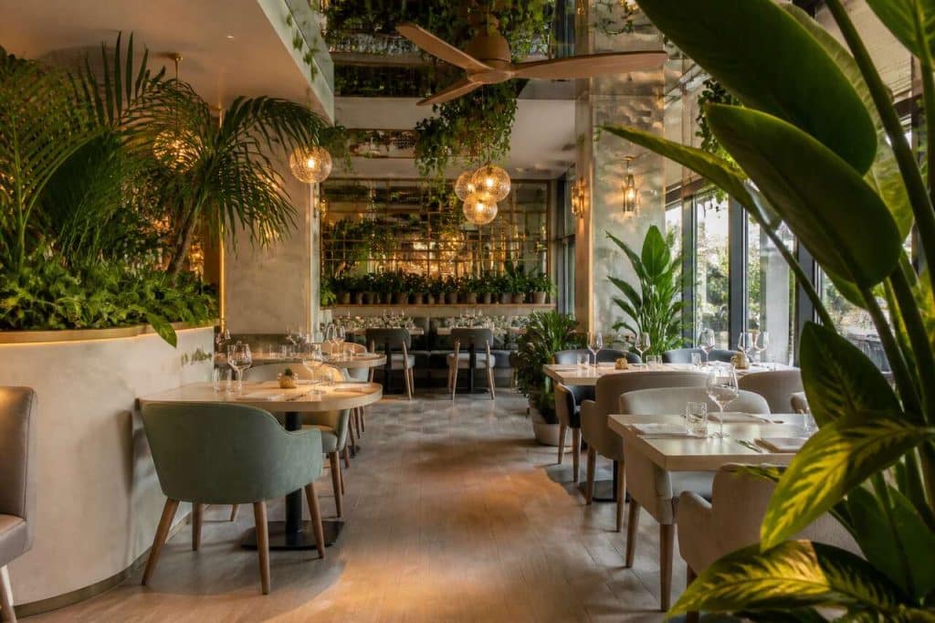 Plantes artificielles : embellissez votre restaurant