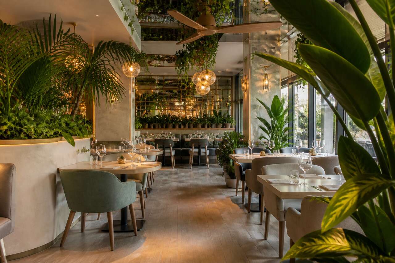 Plantes artificielles : embellissez votre restaurant