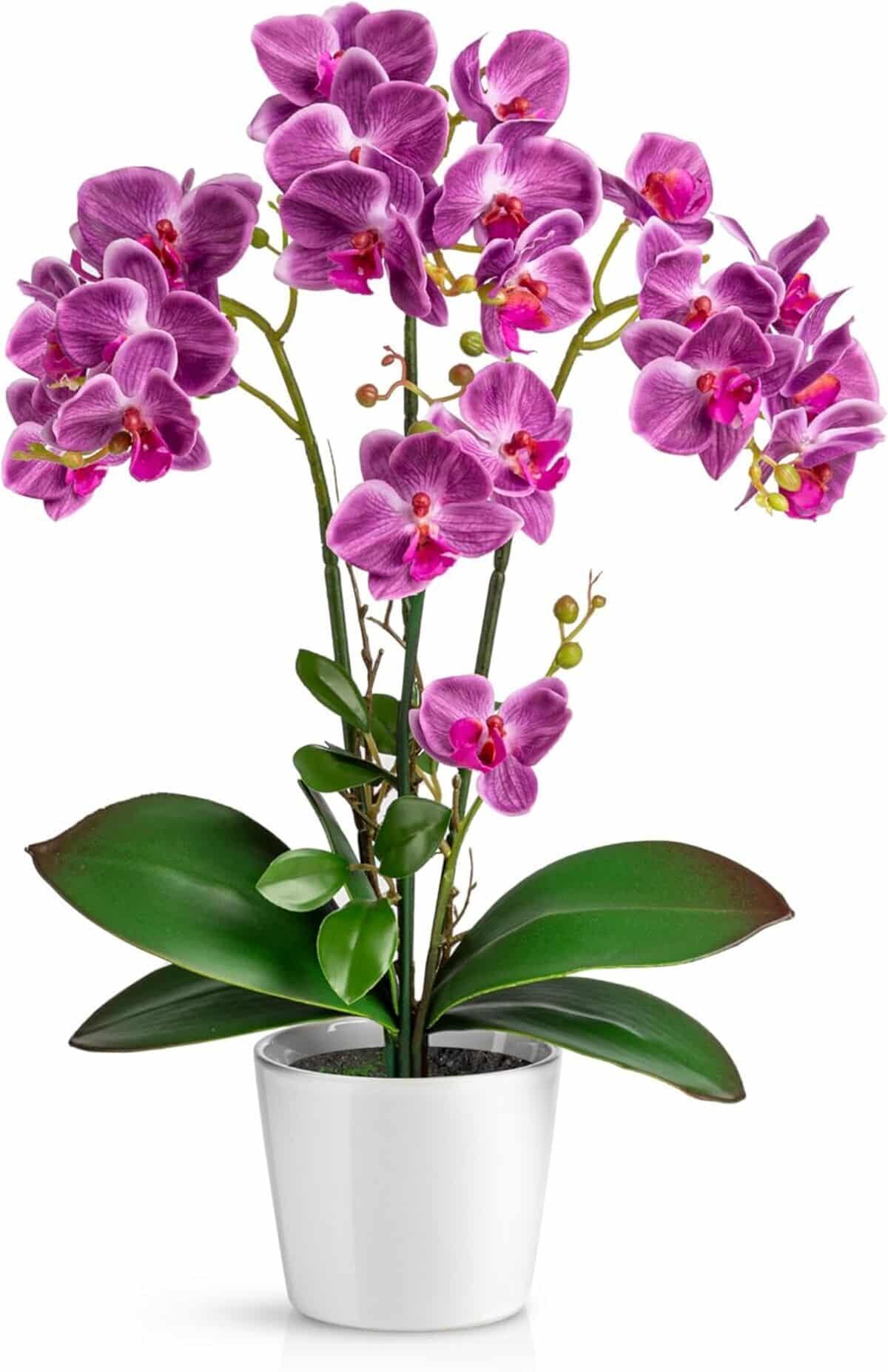 Avis : orchidées artificielles PASCH en pots céramique (46 cm)