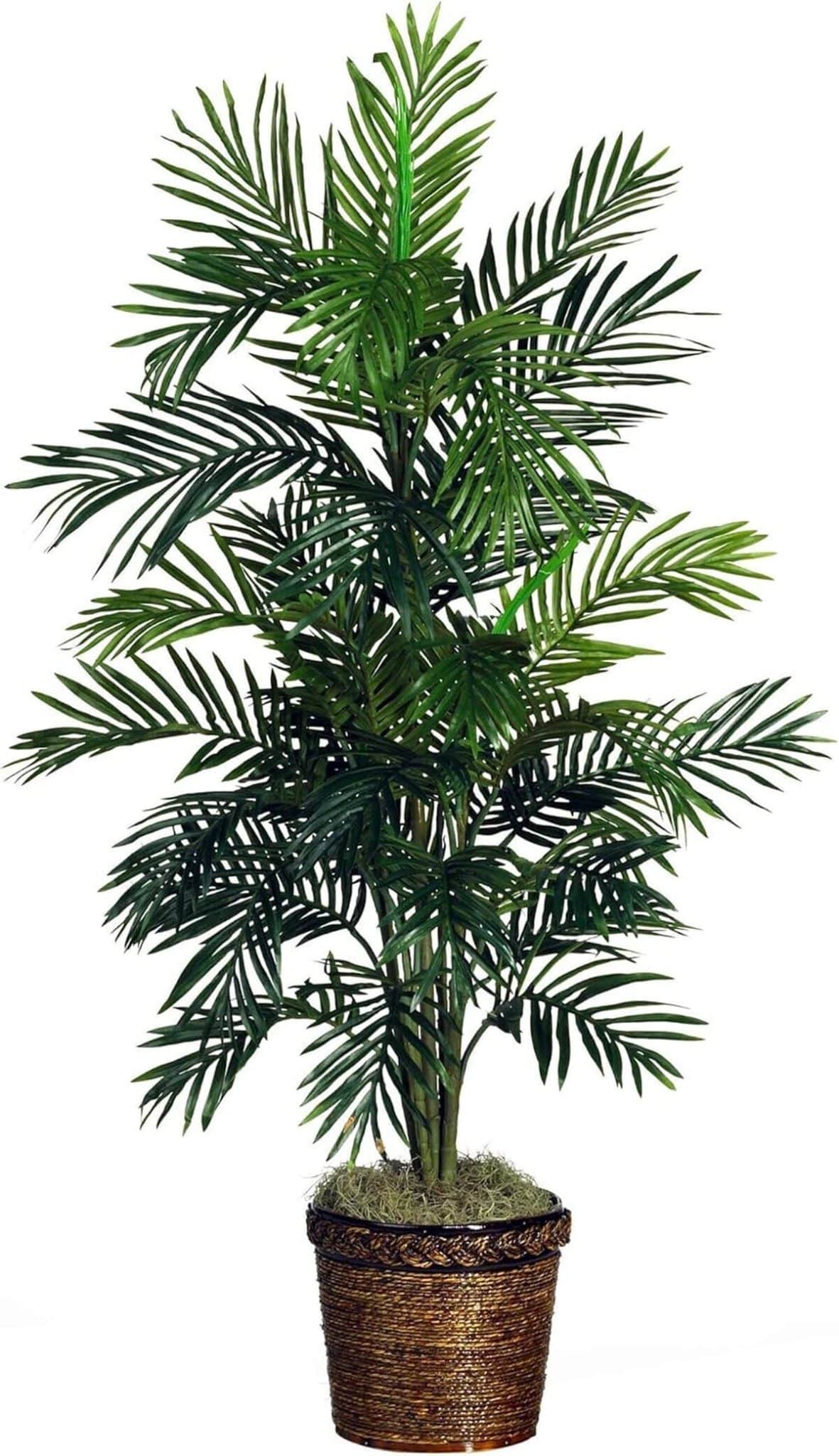 Avis sur l'arbre artificiel NearlyNatural : une touche de vert pour votre intérieur
