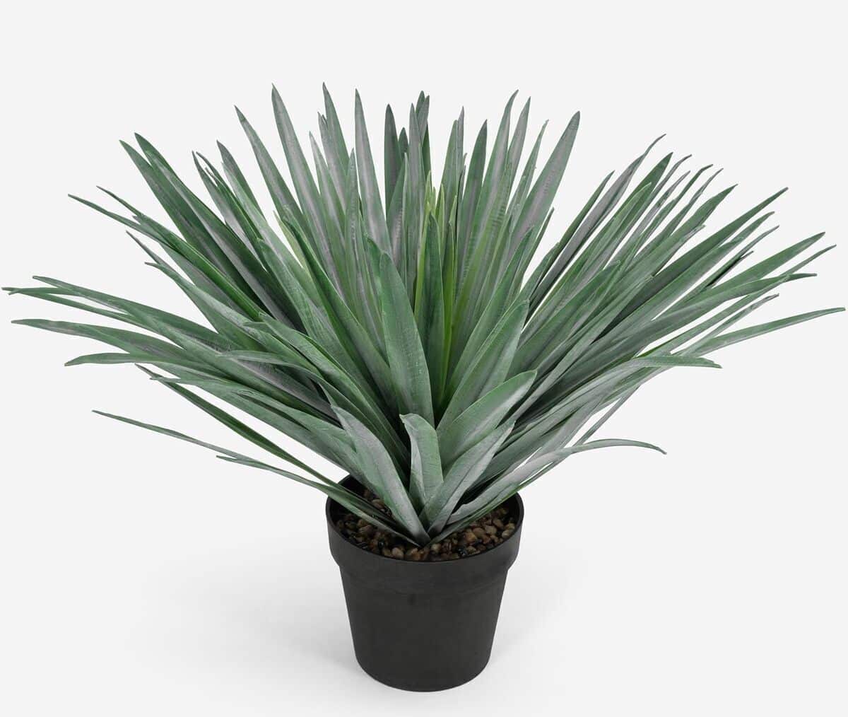 Test de l'agave artificielle SUNPRAIRIE, 68, 6 cm