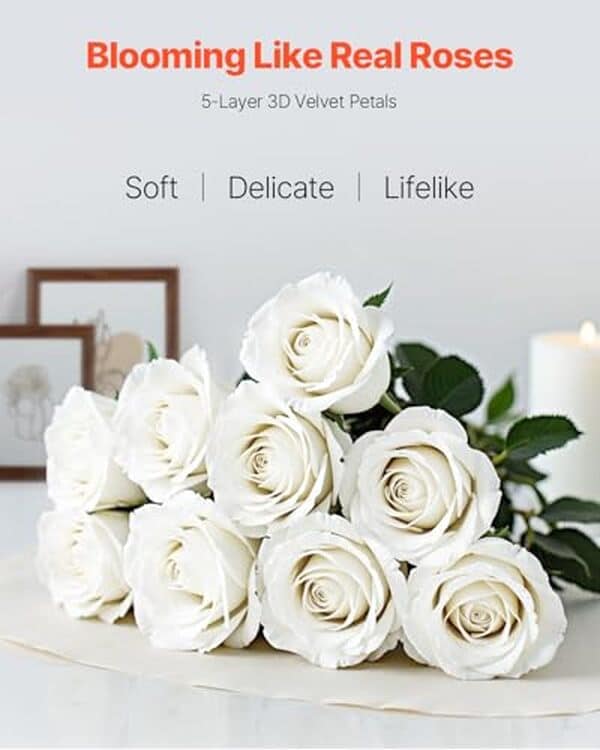 Découvrez notre avis complet sur les roses blanches artificielles VEVOR : qualité, réalisme et durabilité de ce lot de 120 fleurs pour votre décoration.