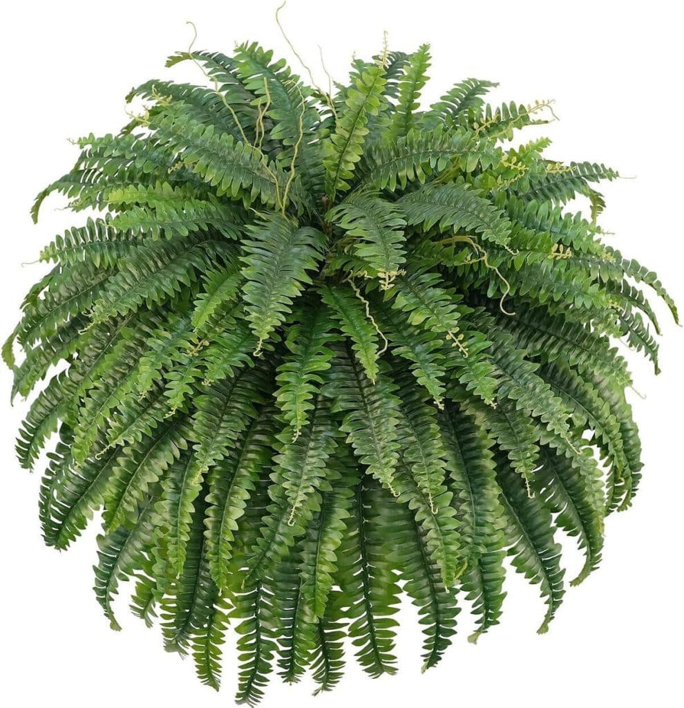 Avis sur la plante artificielle Forest Prince 132cm : fougère de Boston