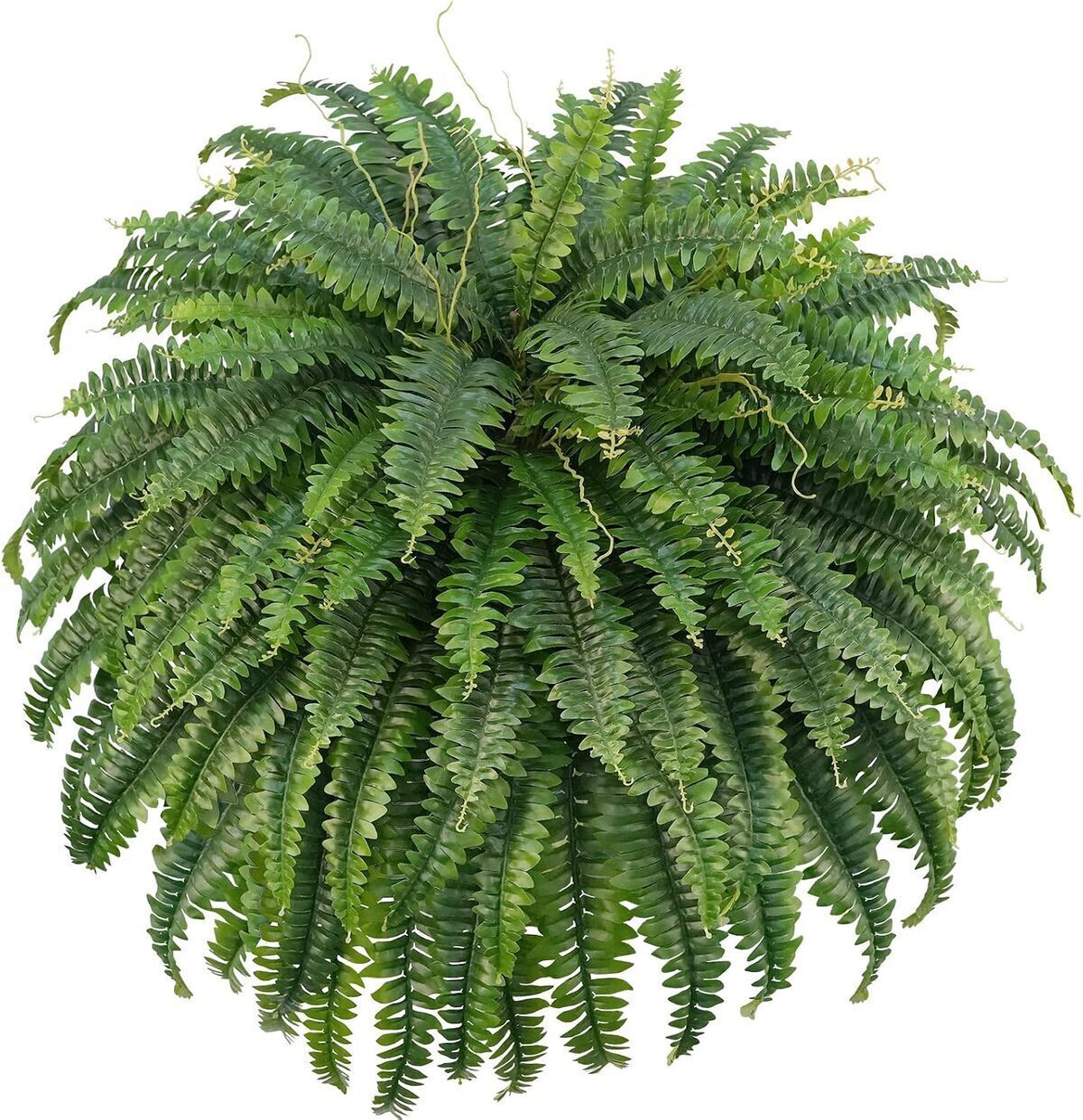 Avis sur la plante artificielle Forest Prince 132cm : fougère de Boston