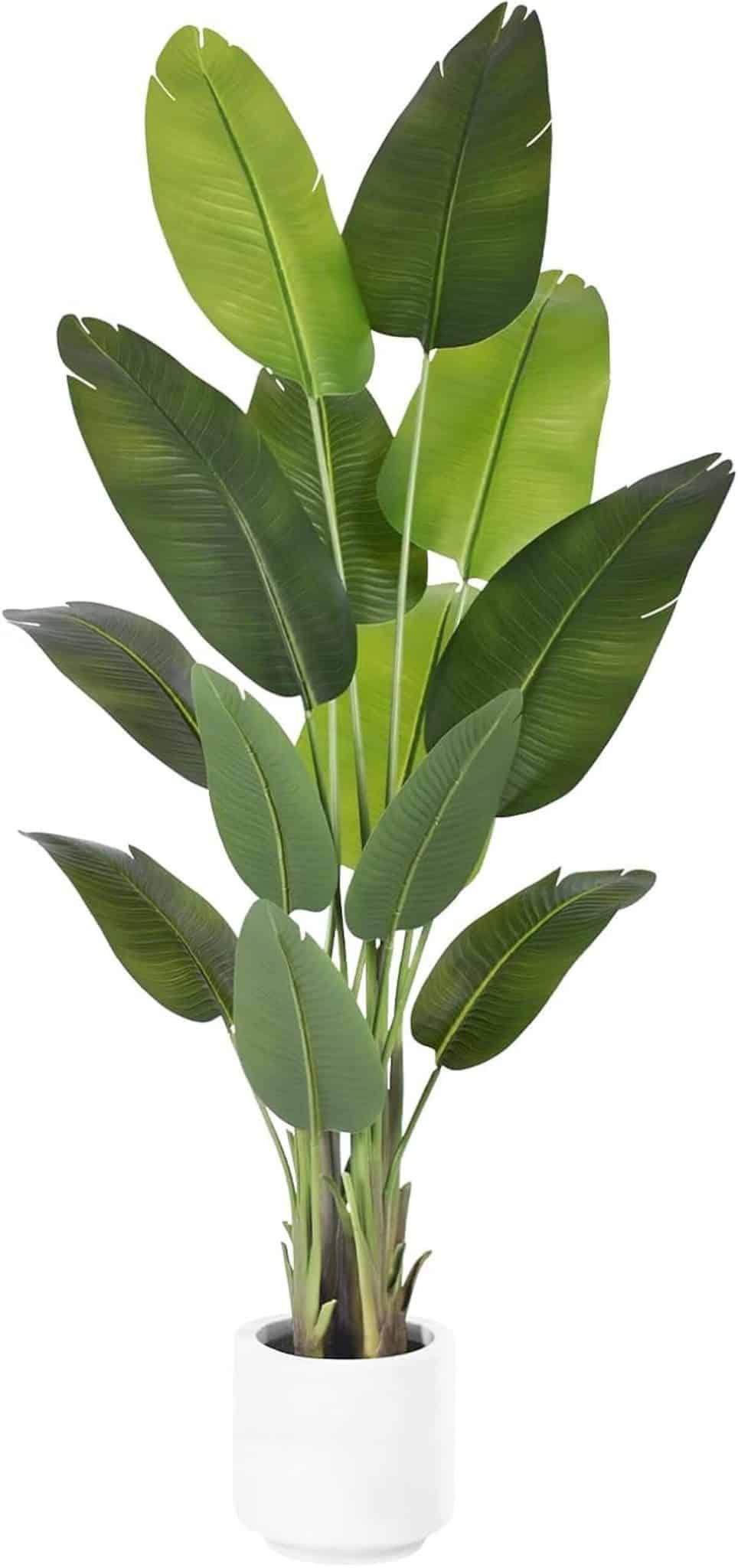 Avis sur la plante artificielle ZEEOZE oiseau de paradis 180cm avec pot blanc