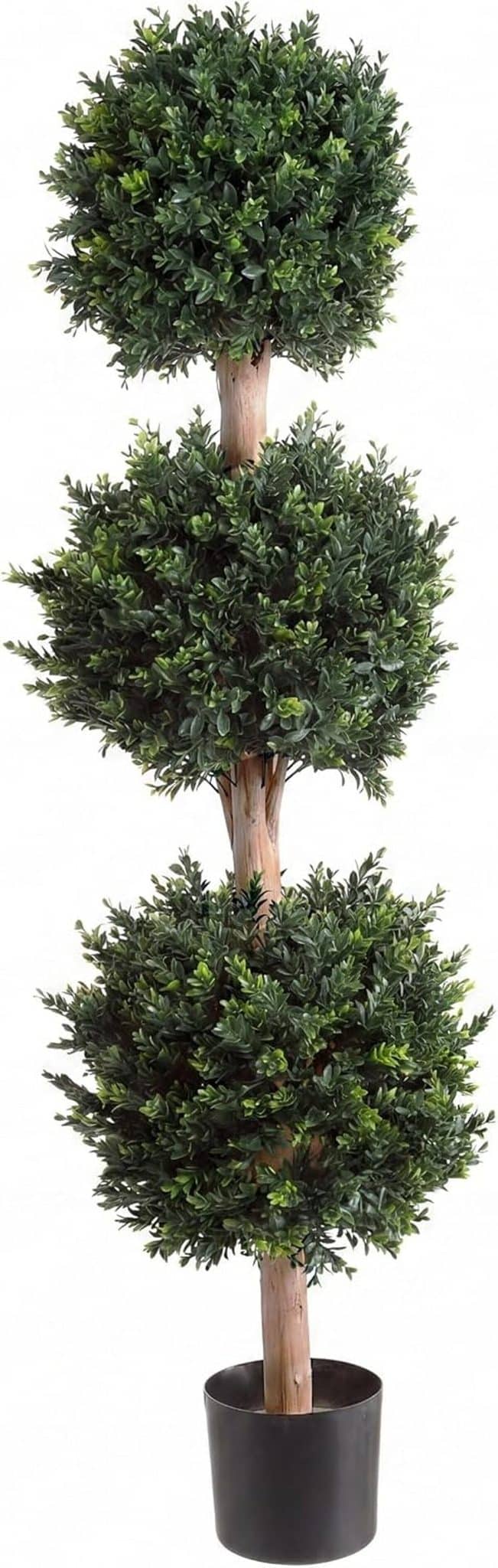 Avis sur l'arbre triple boule Hedyotis Pure Garden : notre test complet