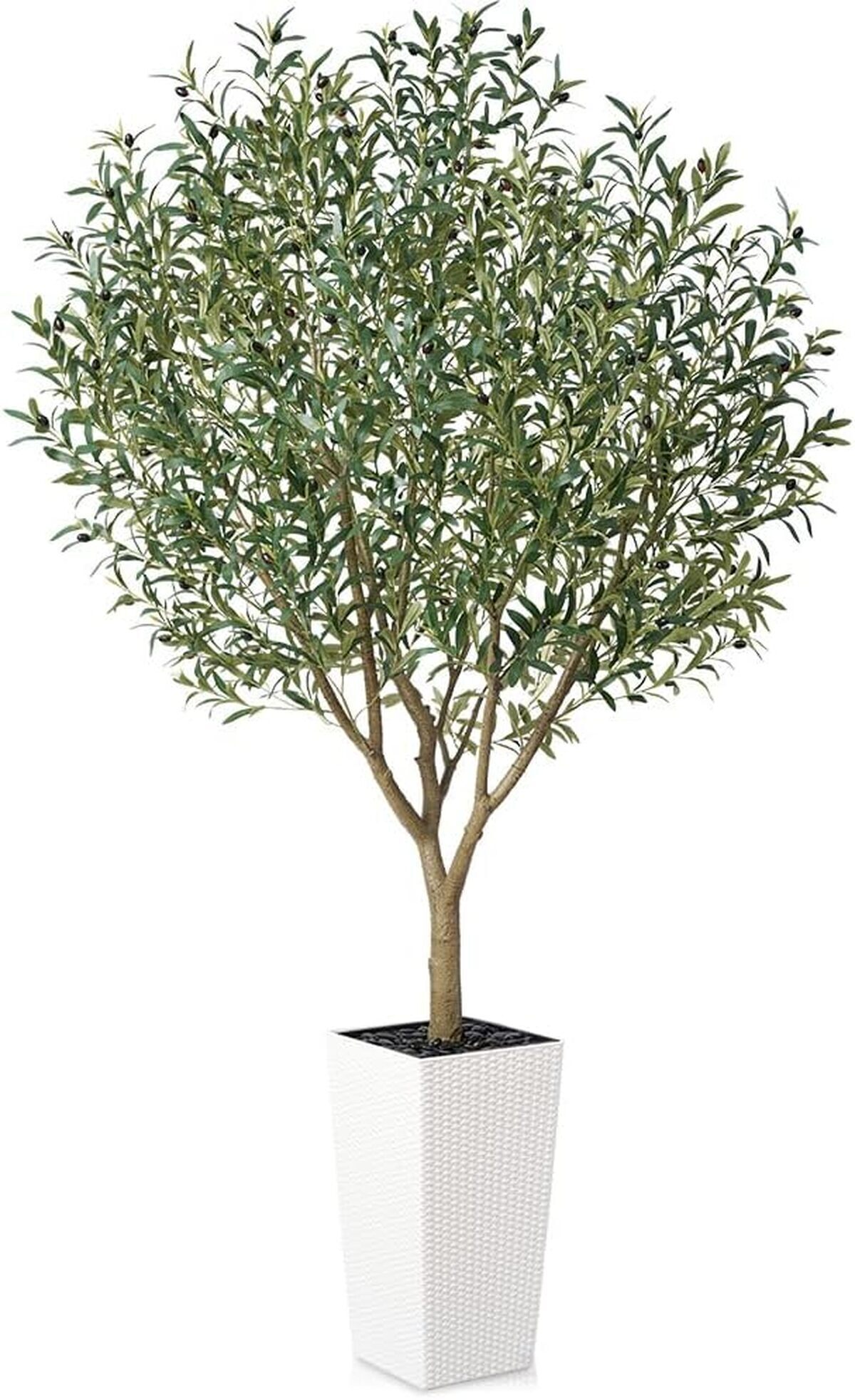 Avis : verfiez l'olivier artificiel VeriNatural 240 cm