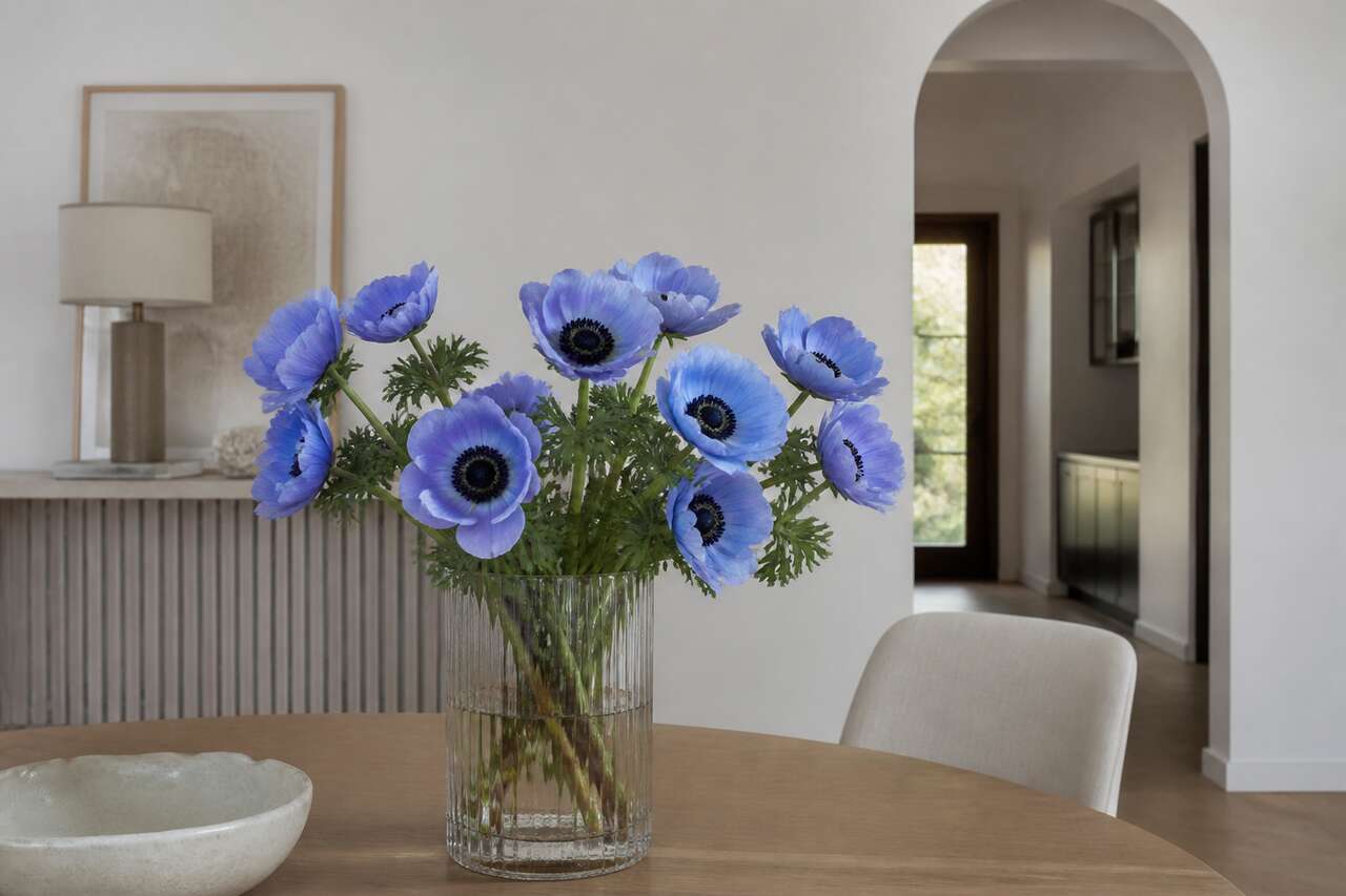 Associer l&rsquo;an&eacute;mone bleue en bouquet et d&eacute;coration moderne
