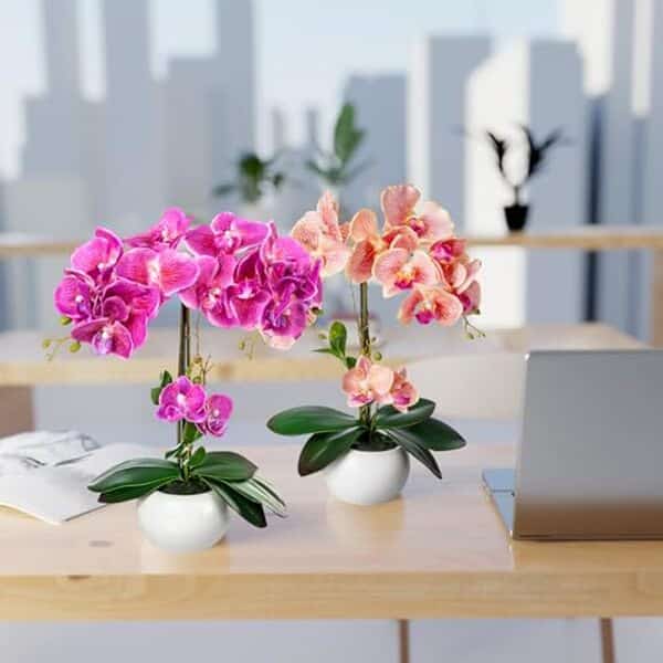 Découvrez notre avis détaillé sur le lot de 2 fleurs artificielles Pasch en pots céramique : qualité, design et durabilité testés pour vous.