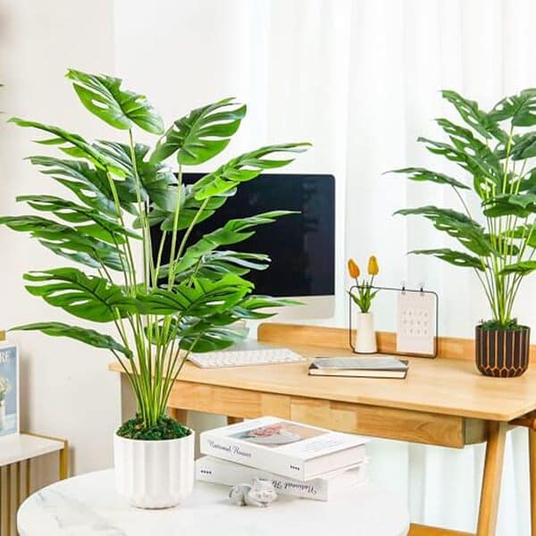 Découvrez nos avis détaillés sur la plante artificielle Der Rose monstera 71 cm : qualité, design et durabilité pour votre décoration d'intérieur. 