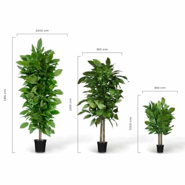 Découvrez notre avis complet sur la grande plante artificielle Blaine en manguier de 150 cm : qualité, design et avantages pour votre décoration intérieure.