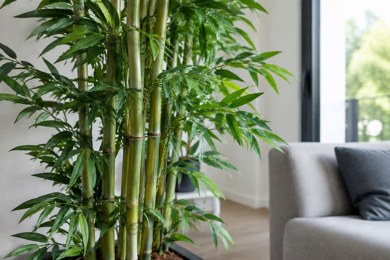 Bambou artificiel cannes multiples : décoration intérieure naturelle