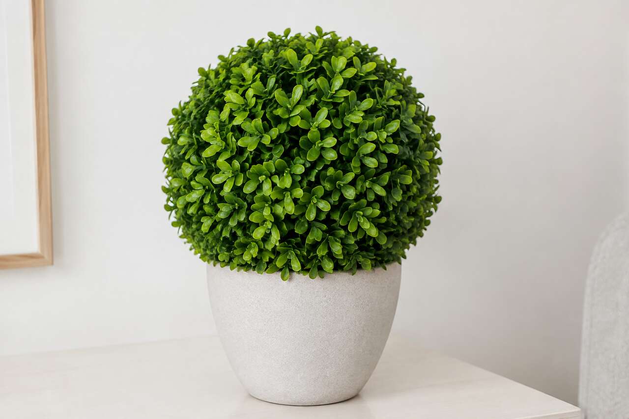 Pourquoi la boule de buis arborescente artificielle séduit autant Pourquoi la boule de buis arborescente artificielle séduit autant